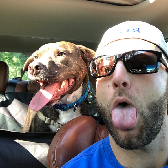 Meet your Posher, Dylan - Picture 1 of 1